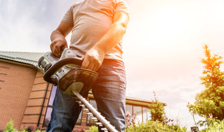 A gardener trimming trees with hedge trimmer. Landscape design. Gardening