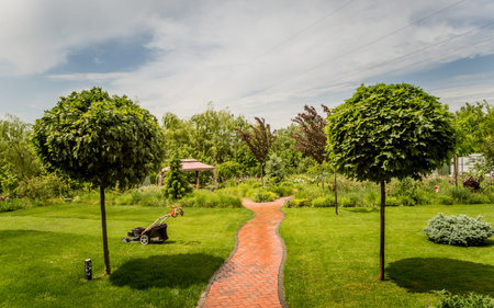 Beautiful garden landscape design. Summer background. Day light