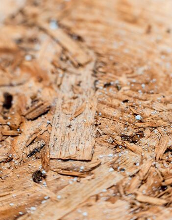 Close-up of fabric and paint. Canvas. Beautiful backgroundの写真素材