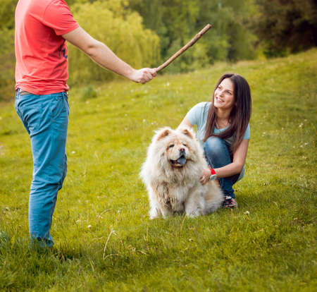 Young couple with the dogs in the parkの写真素材