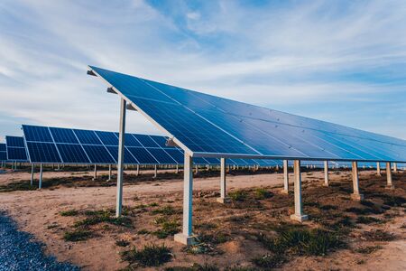 Solar panels, photovoltaic alternative electricity source. Backgroundの写真素材