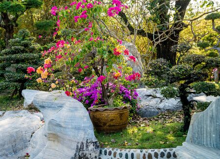 Luxury landscape design of the tropical garden. Beautiful view of landscaped tropical garden.の写真素材