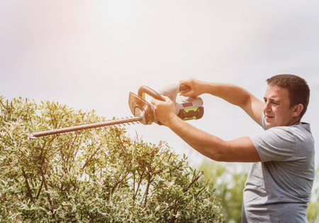 A gardener trimming trees with hedge trimmer