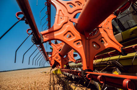 Combine harvester in action on wheat field. Process of gathering a ripe crop from the fields.の写真素材