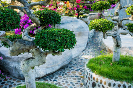 Luxury landscape design of the tropical garden. Beautiful view of landscaped tropical garden.の写真素材