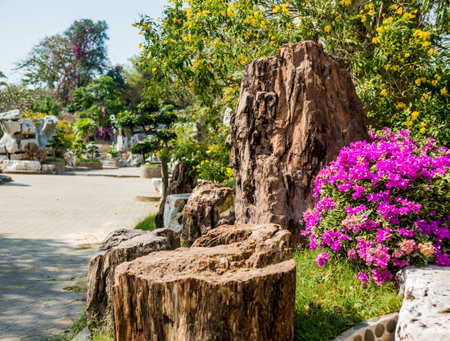 Luxury landscape design of the tropical garden.
