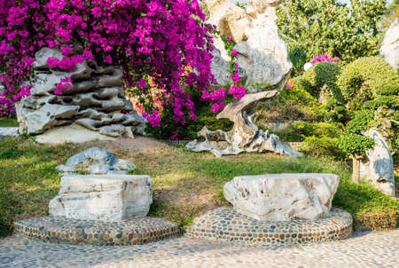 Luxury landscape design of the tropical garden.の写真素材