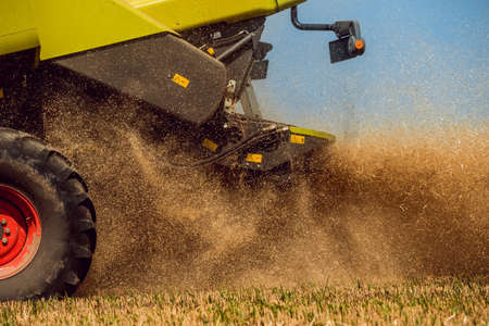 Combine harvester in action on wheat field. Process of gathering a ripe crop.の写真素材