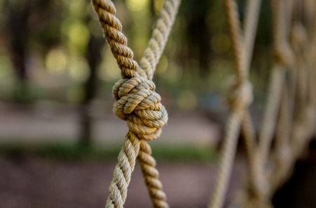 Detail of rope park in a forest. Adventure summer park.