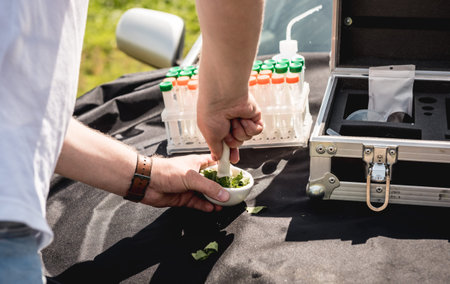 Laboratory worker testing plant sprouts before harvest in the field.