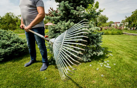Gardener raking cutting leaves in the garden.の写真素材