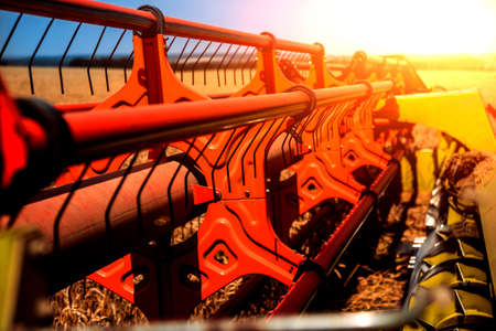 Combine harvester in action on wheat field. Process of gathering a ripe crop.の写真素材