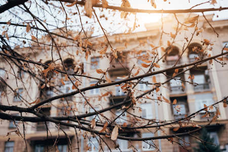 Facade of the historic building. Cental Europe style.の写真素材