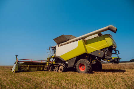 Combine harvester in action on wheat field. Process of gathering a ripe crop.の写真素材