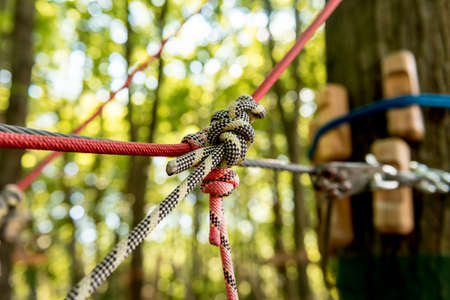 Detail of rope park in a forest. Adventure summer park.の写真素材
