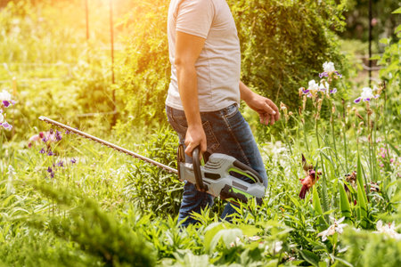 A gardener trimming trees with hedge trimmer