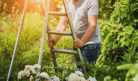 Professional gardener goes to cut trees with garden scissors and ladderの写真素材