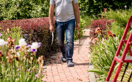 Professional gardener goes to cut trees with garden scissors and rakeの写真素材