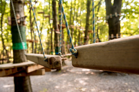 Rope park in a forest. Adventure summer park.