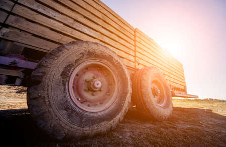 Tractor at the field harvesting of beet rootsの写真素材