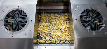 Conveyor line for frying snacks and chips in a modern factory