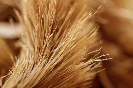 Macro texture of natural dry herbal teaの写真素材