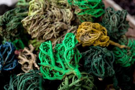 Colored dried seaweed shaped into decorative ballsの写真素材