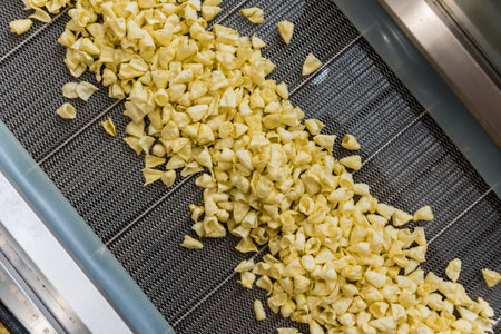 Conveyor line for frying snacks and chips in a modern factoryの写真素材