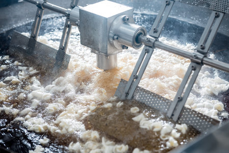 Conveyor line for frying snacks and chips in a modern factory
