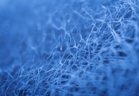 Macro background of natural sponge that looks like rootsの写真素材