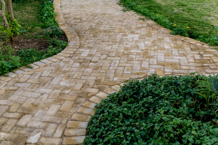 Luxury landscape design of the tropical summer garden