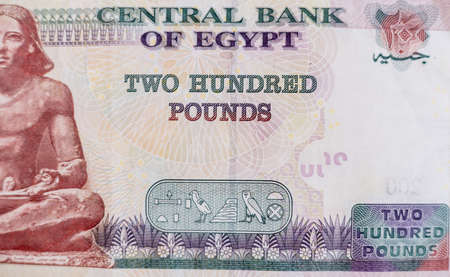 World money collection. Fragments of Egypt moneyの写真素材