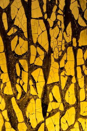 Beautiful overlay texture of old cracked paintの写真素材