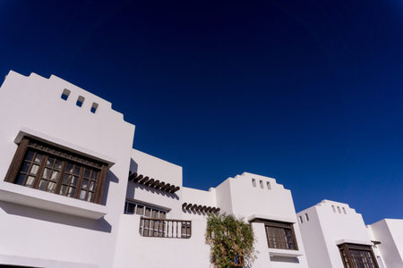 The view of top floor of house in the tropical garden with balcony and roofの写真素材