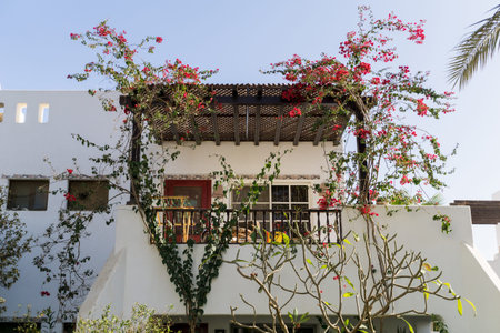 The view of top floor of house in the tropical garden with balcony and roof