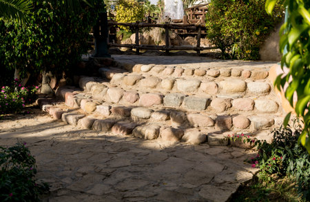 Luxury landscape design of the tropical summer garden