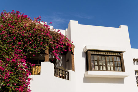 The view of top floor of house in the tropical garden with balcony and roof