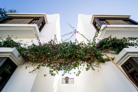 The view of top floor of house in the tropical garden with balcony and roofの写真素材