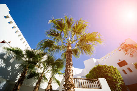 The view of top floor of house in the tropical garden with balcony and roofの写真素材
