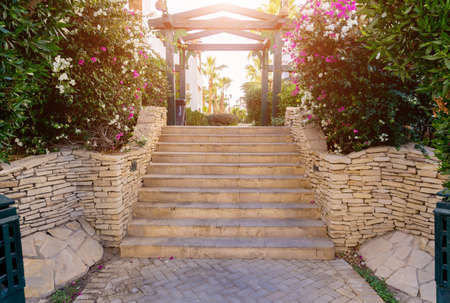 Luxury landscape design of the tropical summer gardenの写真素材