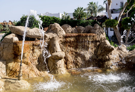 Luxury landscape design of the tropical summer gardenの写真素材