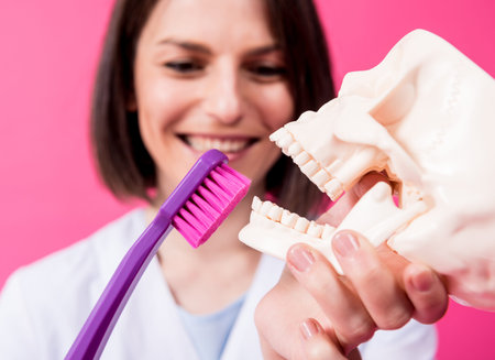 Woman dentist brushing teeth of an artificial skull using a large toothbrush