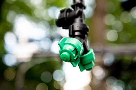 Drip irrigation with several exits of waterの写真素材