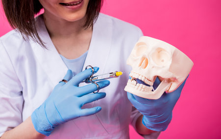 Woman dentist with a carpool syringe injects anesthetic into the gum of the artificial skullの写真素材