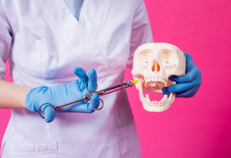 Woman dentist with a carpool syringe injects anesthetic into the gum of the artificial skull