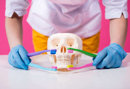 Woman dentist brushing teeth of an artificial skull using a four toothbrushesの写真素材
