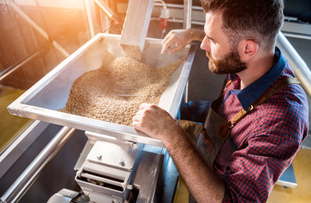 A young brewer in a leather apron controls the grinding of malt seeds in a mill at a modern breweryの写真素材