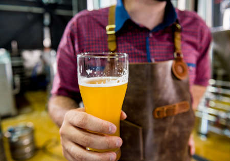 Young brewer wearing a leather apron is testing beer at a modern breweryの写真素材
