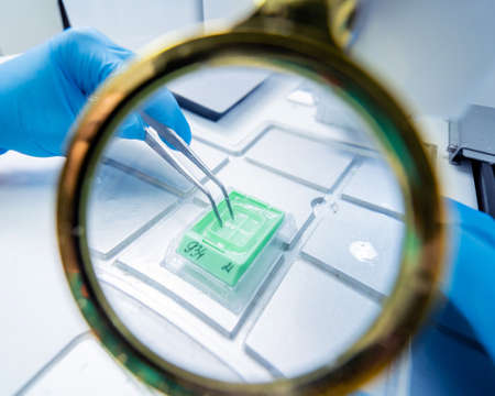 Laboratory assistant works at paraffin wax dispenser tissue embedding machine.の写真素材