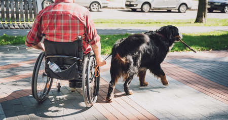 Happy young man with a physical disability in a wheelchair with his dog.の写真素材